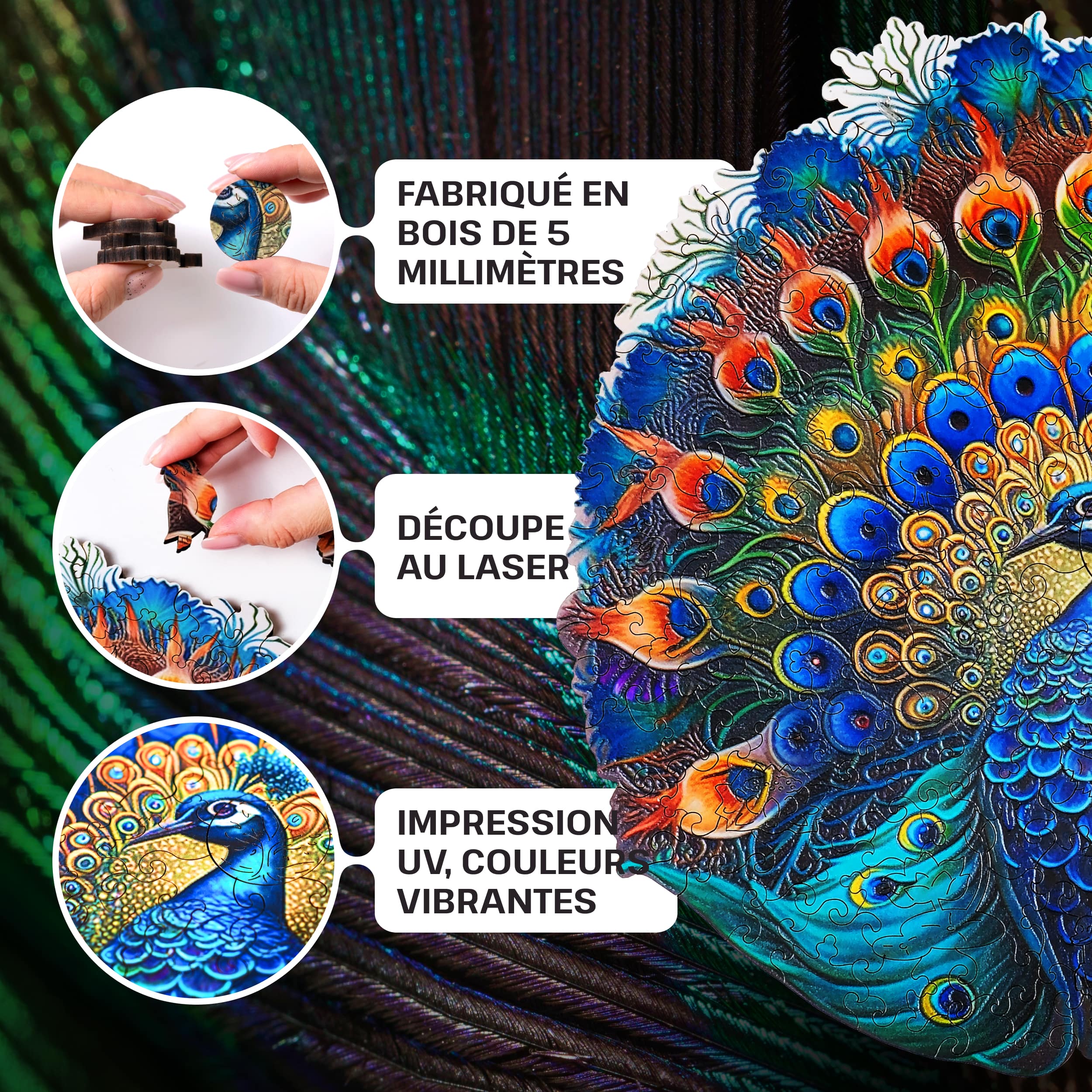 Images et photos de Peacock puzzle 500 pièces. ESC WELT.